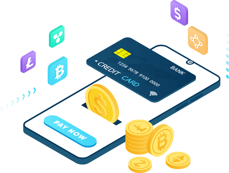 A New  Evolution in Digital  Payment Systems