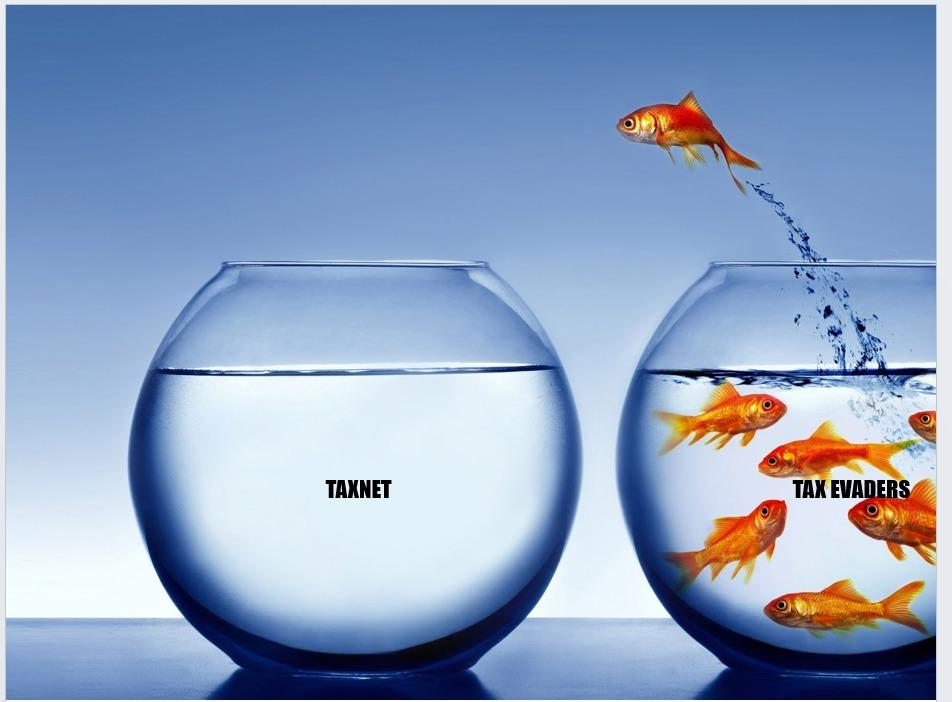 A creative New way to  fish out Tax Evaders
